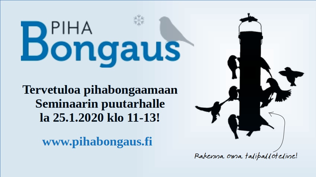 Talipallotelinepaja Pihabongaus banneri 2 RSLH 20200125